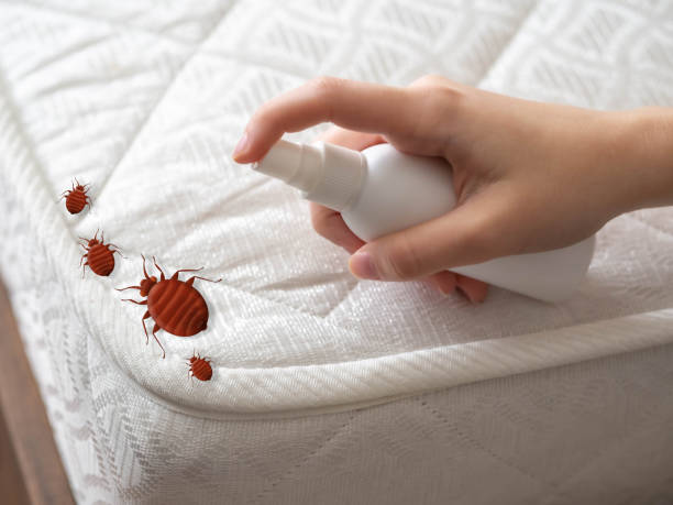 Best Pest Control for Multi-Family Homes  in Fountain Green, UT